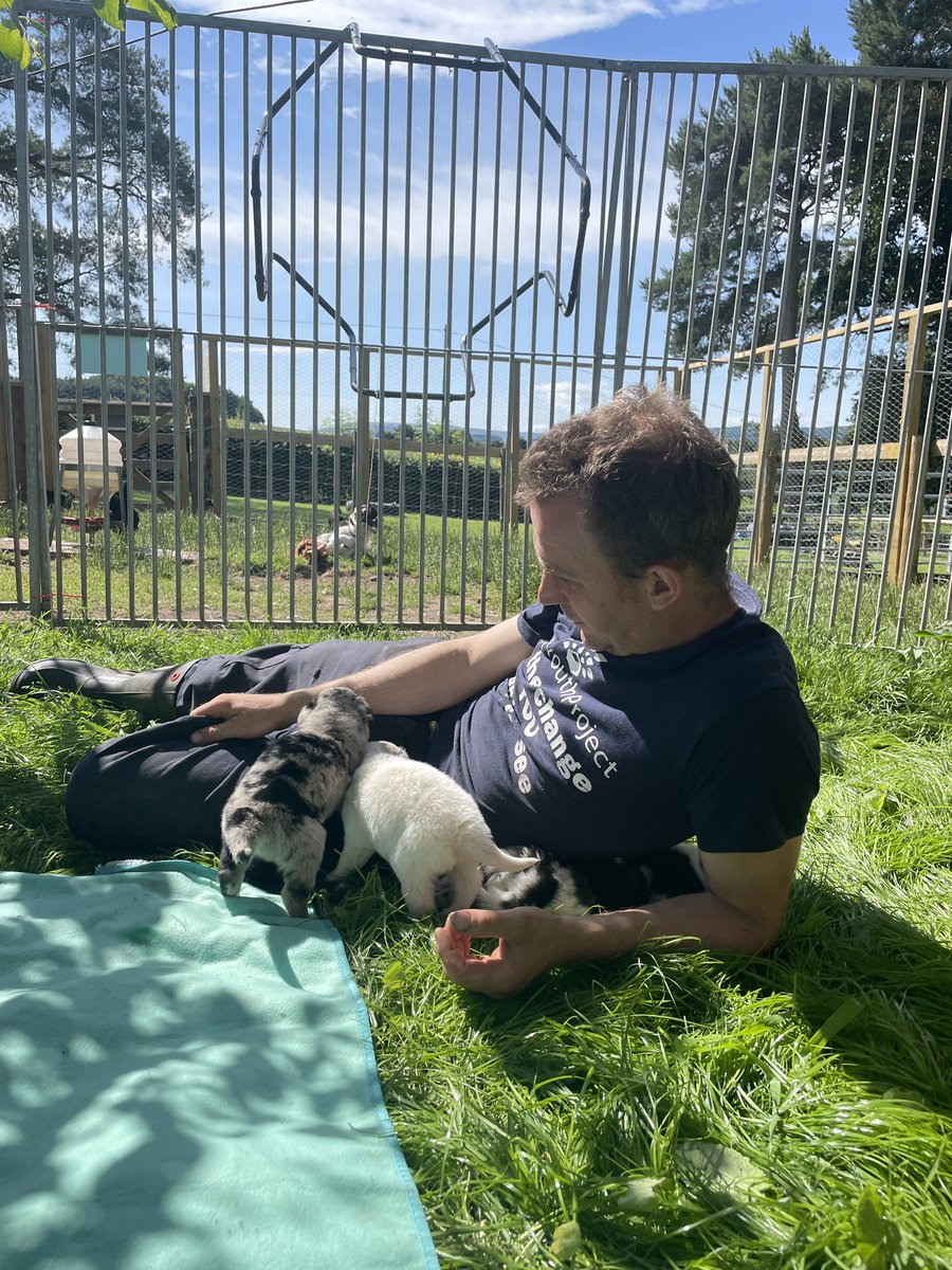 When we were dreaming up this business more than 2 years ago I didn’t ever think that Fenwick would be spending time laying in the grass showing ducklings and puppies to the public 😆 what a life! #farmer #farming #GoodLife