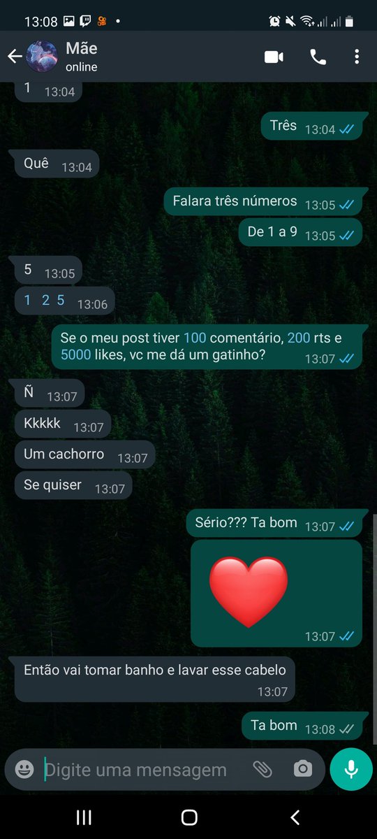 cookieamiss's tweet image. Minha mãe tem medo de gatos kaakakak, mas ela disse que eu posso ter um cachorro, ajudem, sou sozinha 🥺