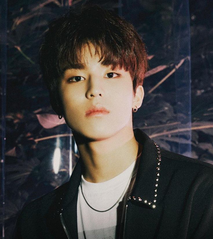 alaska- lrp tweet media