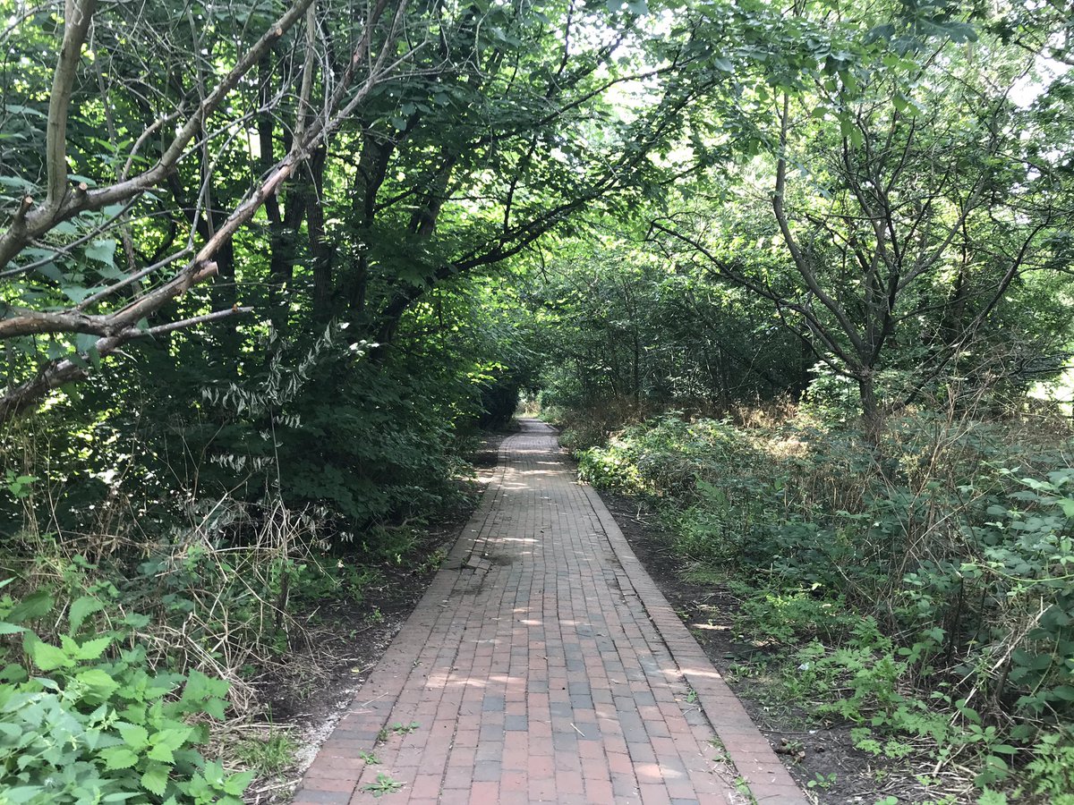Walk2Cop27's tweet photo. Phew! Long live the shade! You appreciate trees a lot more when it’s super hot out there. #heatwaveuk #Heat #HeatWave2021 #ClimateCrisis #ClimateEmergency #ClimateAction #ClimateActionNow #walk2COP26 #COP26 #COP26Glasgow #1step4earth #1action https://t.co/9ugWmV4yqM