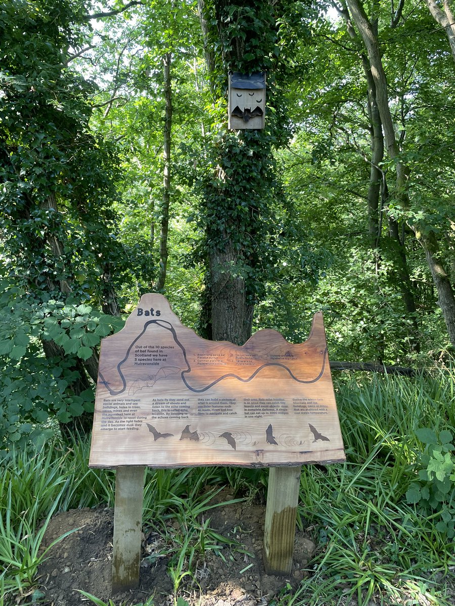 countryrangersi's tweet photo. Been working on this project for a while now and I have finally got it installed. Big thanks to @forthriverstrust for the funding. The new trail will engage the public with the the river Avon. #muiravonside #countrysideranger #forthriverstrust #interpretation #riverlife https://t.co/10NsVPib2R