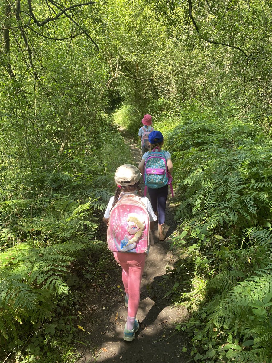 WSInfants's tweet image. We had such a fantastic walk and lunch in the woods as promised by Mrs G. A big thank you to Jodi our school cook for making us packed lunches.