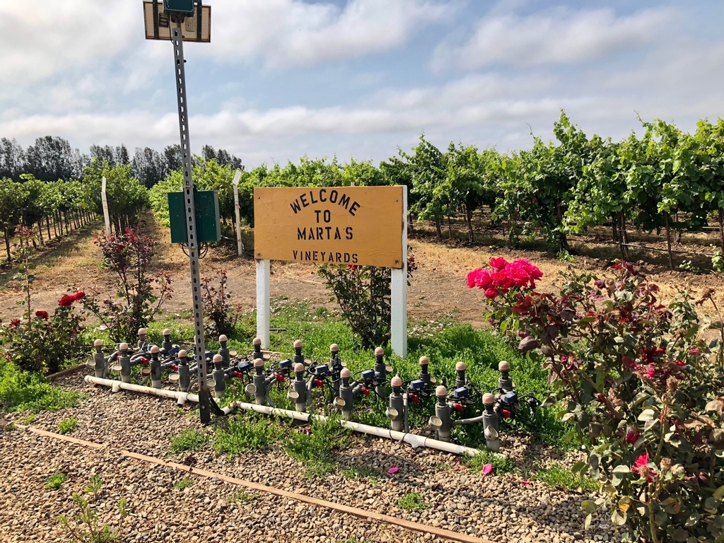 CalhounWine's tweet photo. C&amp;C's Paris, Michelle and Katie took a road trip for a fabulous client visit with Heidi Scheid of Scheid Family Wines last week and experienced the gorgeous Monterey AVA up close.

#clientvisits #winepr #montereyava #scheidvineyards #scheidfamilywines https://t.co/93oB56RYA3