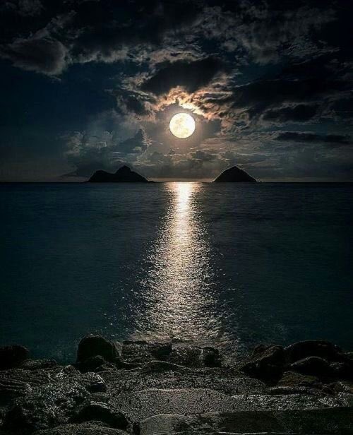 🌟💙🌟Shahbaz.....9878 (@shahbaz09878) on Twitter photo <a href="/streamlinefituk/">Katharine Read OLY</a> <a href="/pkamla1/">Kamla</a> <a href="/barbadosgal/">Karen Sanderson</a> <a href="/Dianne__LadyD/">Lady D</a> <a href="/LadyWiseWorld/">©Lady Wise</a> <a href="/MeAahana/">Aahana</a> <a href="/PrachiMalik/">Prachi Malik</a> <a href="/mindfulheal/">Kylie Riordan</a> @Inspireu2Action <a href="/loveGoldenHeart/">💛Christina Goebel, M.A.</a> <a href="/NoorioZehra/">I am Noor</a> <a href="/LeafsGirl4life/">Stef🍁Girl4Life 🇨🇦</a> Thanks
Good evening my dear friend khatarine and all friends. <a href="/streamlinefituk/">Katharine Read OLY</a> <a href="/pkamla1/">Kamla</a> <a href="/barbadosgal/">Karen Sanderson</a> <a href="/Dianne__LadyD/">Lady D</a> <a href="/LadyWiseWorld/">©Lady Wise</a> <a href="/MeAahana/">Aahana</a> <a href="/PrachiMalik/">Prachi Malik</a> <a href="/mindfulheal/">Kylie Riordan</a> @Inspireu2Action <a href="/loveGoldenHeart/">💛Christina Goebel, M.A.</a> <a href="/NoorioZehra/">I am Noor</a> <a href="/LeafsGirl4life/">Stef🍁Girl4Life 🇨🇦</a> Thanks
Good evening my dear friend khatarine and all friends.