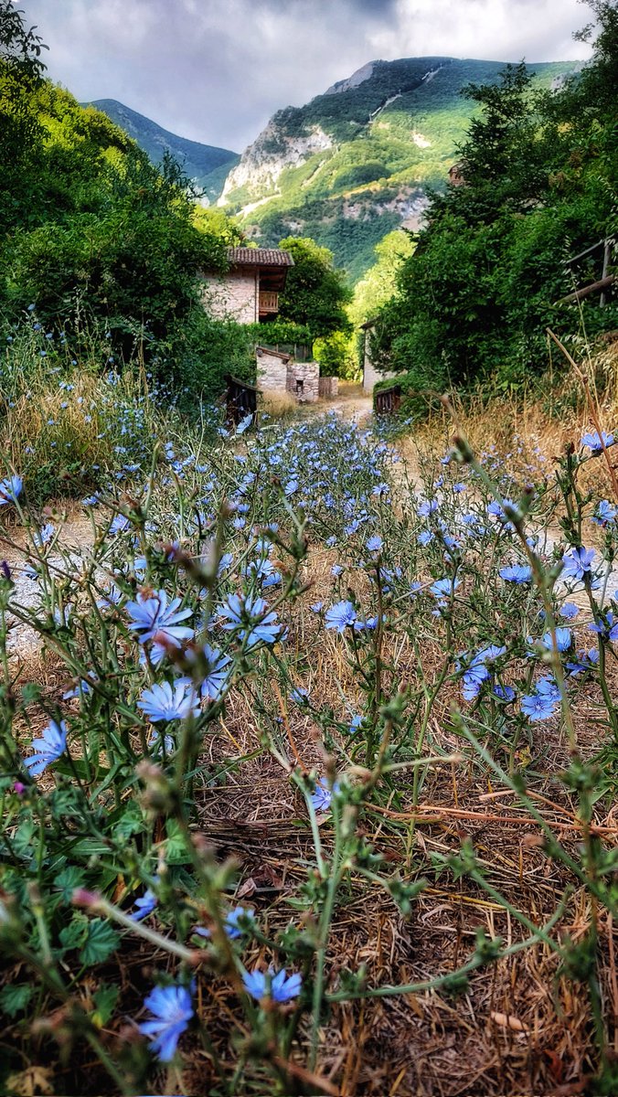 "La Via del Gibbo"

#laviadelgibbo #trekking #sentieri #camminate #marche #montecatria