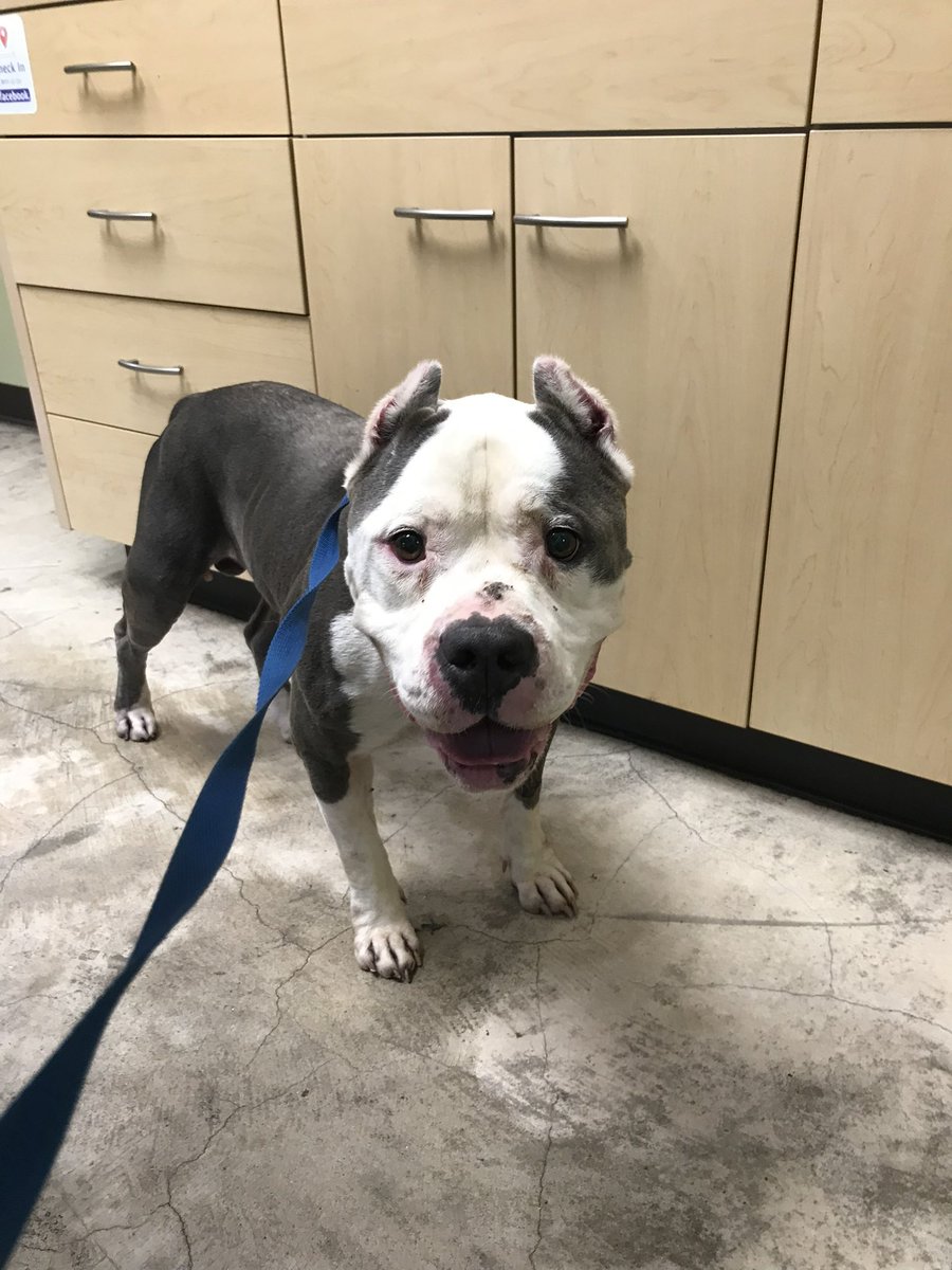 kristen morrison tweet media