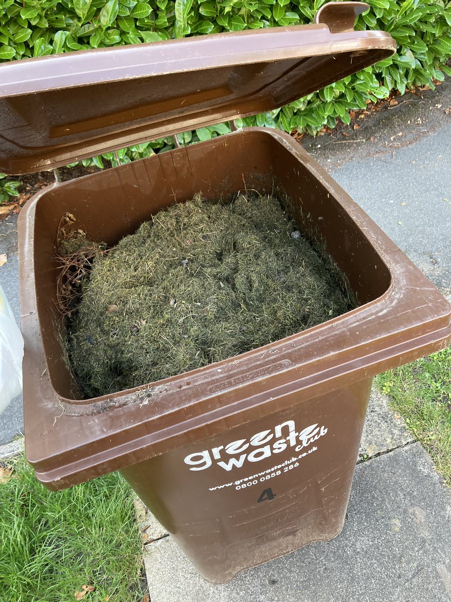 Jordan_Tallent's tweet photo. @JointWasteSols It’s been another day and this bin still hasn’t been collected. Can you please tell me when this will be sorted? https://t.co/dbCyrxaEwJ