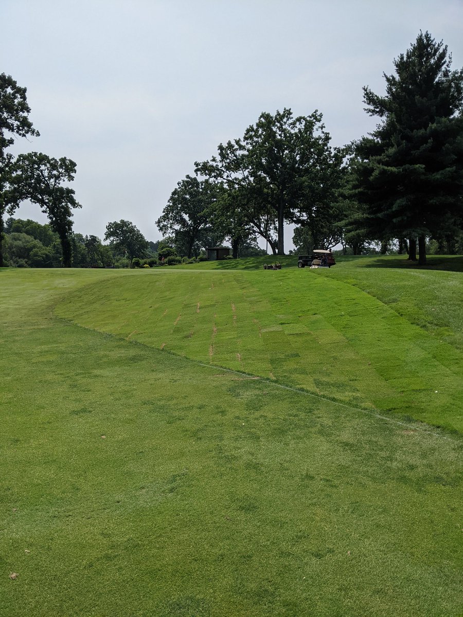 New section of fairway is done!