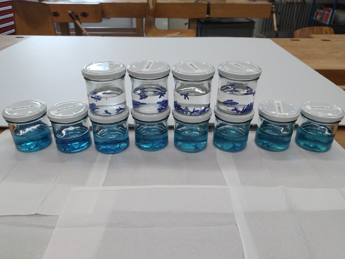 ProjectLIQUOR tweet media