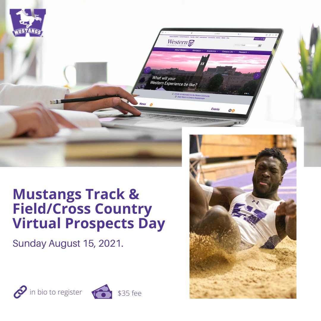 Streamline Athletes tweet media