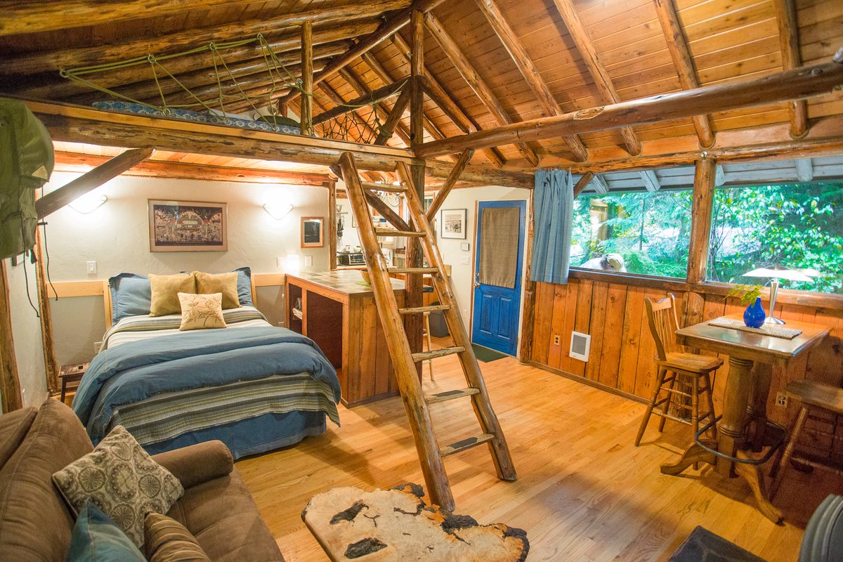 altimetercabin's tweet photo. And that's a wrap. Every date in July is sold out. We're nearly sold out for August. August 22 and 31st are currently available. Visit our website for pricing and packages https://t.co/KDMWUOg5Gk or call (253)651-6812.
#cabinlife #mountainlife https://t.co/2y8XKzIPiM