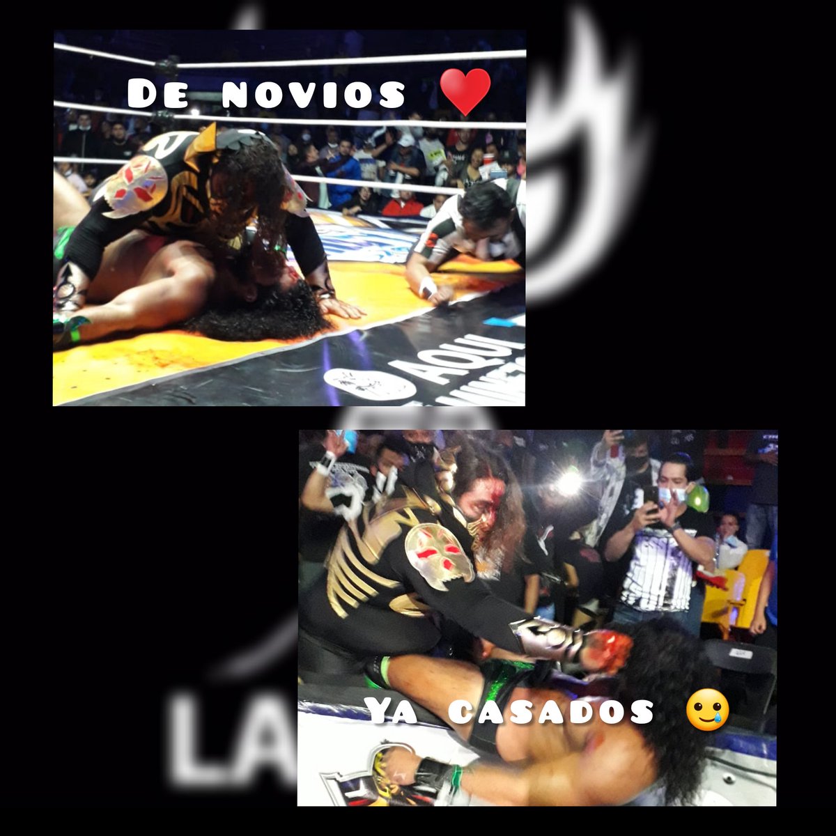 LaTijeraLucha's tweet photo. #elmame 😂
Cuando un meme me representa al millón, no cierto, si cierto...
@laparktapia 
@rushtoroblanco
#LaAutenticaYOriginal #ToroBlanco
#latijeraluchalibre https://t.co/YWCvRbsFlb