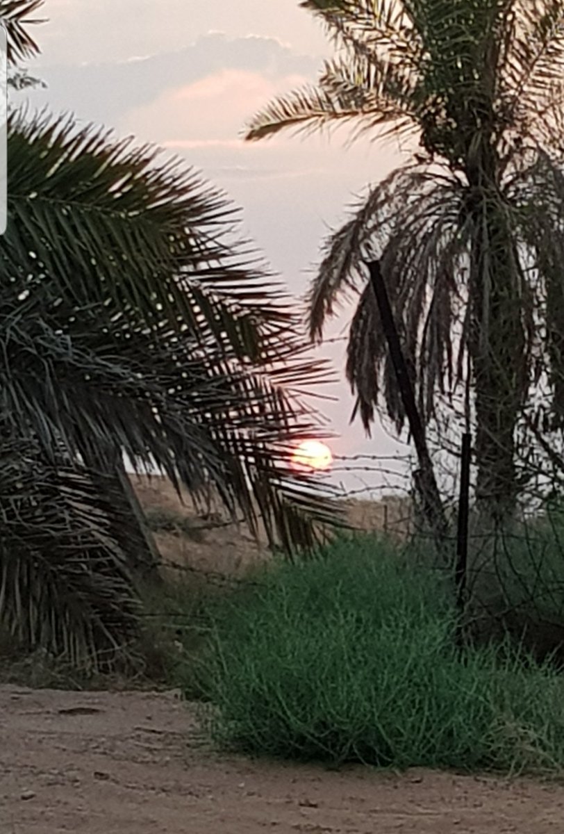 صالح بن زاحم tweet media