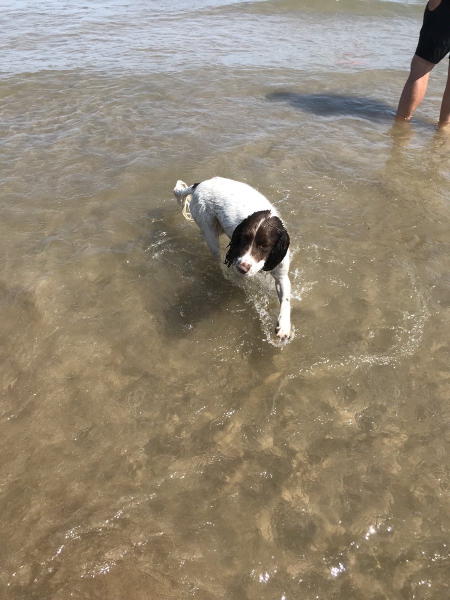 AndreaR78122157's tweet photo. @OfficialFiley - it’s been way too long - we’ve missed you loads, but yesterday you didn’t let us down - #lovefiley - glad to be back 😋☀️ #ukbestbeachever https://t.co/ArRTtajwq8
