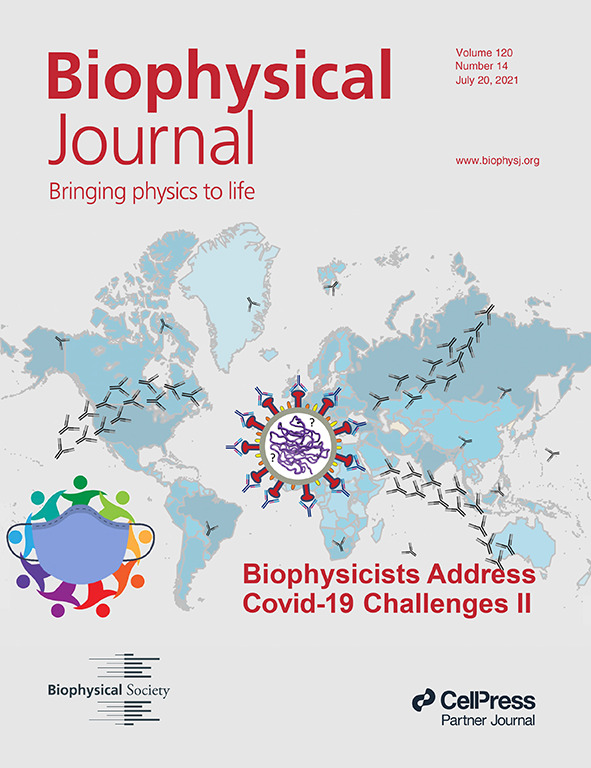 Les Loew (@lesloew) on Twitter photo Special issue of <a href="/BiophysJ/">Biophysical Journal</a> organized by <a href="/tamar_schlick/">Tamar schlick</a> & colleagues
Biophysicists’ continued outstanding response to COVID-19 cell.com/biophysj/fullt… Special issue of <a href="/BiophysJ/">Biophysical Journal</a> organized by <a href="/tamar_schlick/">Tamar schlick</a> & colleagues
Biophysicists’ continued outstanding response to COVID-19 cell.com/biophysj/fullt…