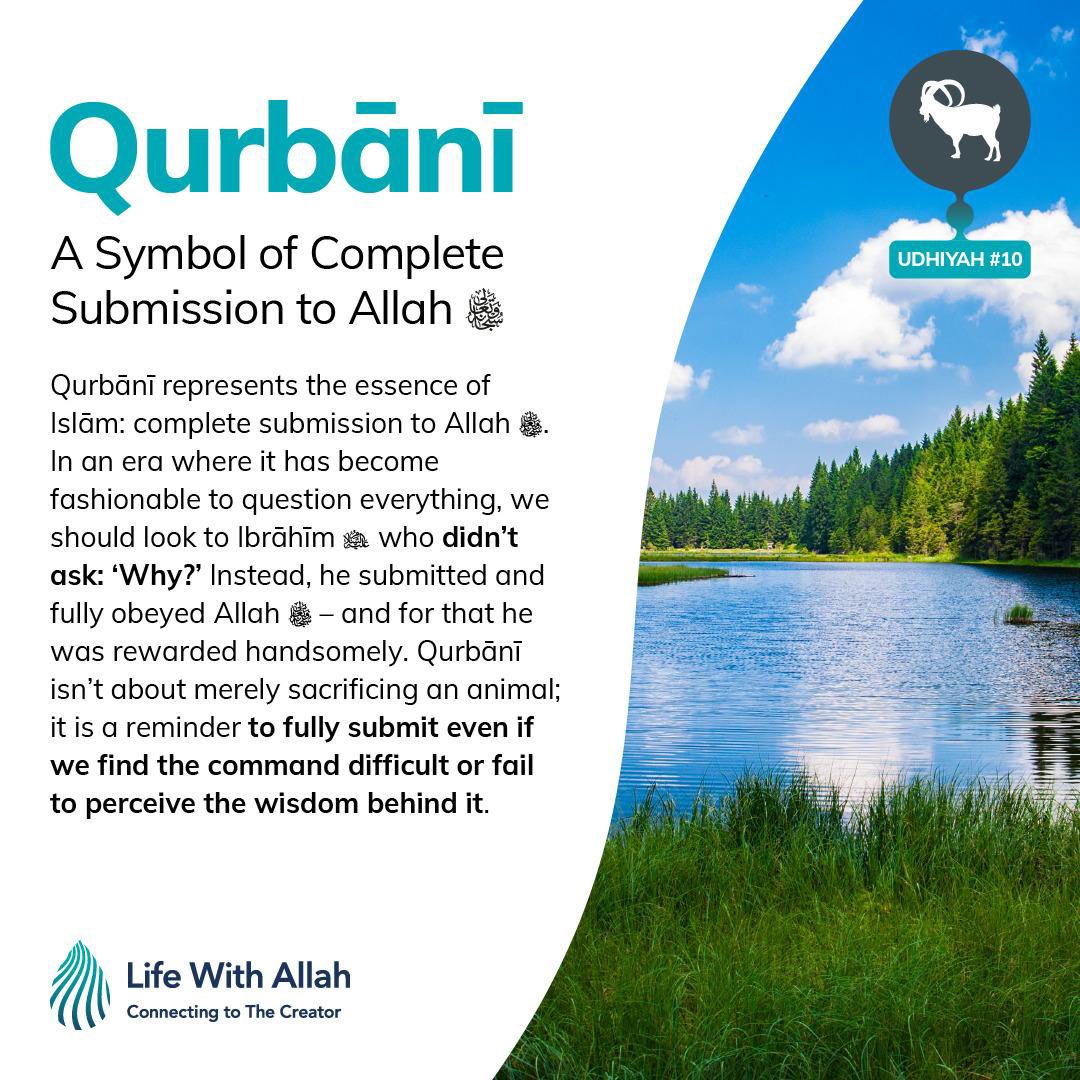 alifewithallah's tweet image. Qurbāni: A Symbol of Complete Submission to Allah

Qurbāni represents the essence of Islām: complete submission to Allah. In an era where it has become fashionable to question everything, we should look to Ibrāhīm who didn't ask: 'Why?'