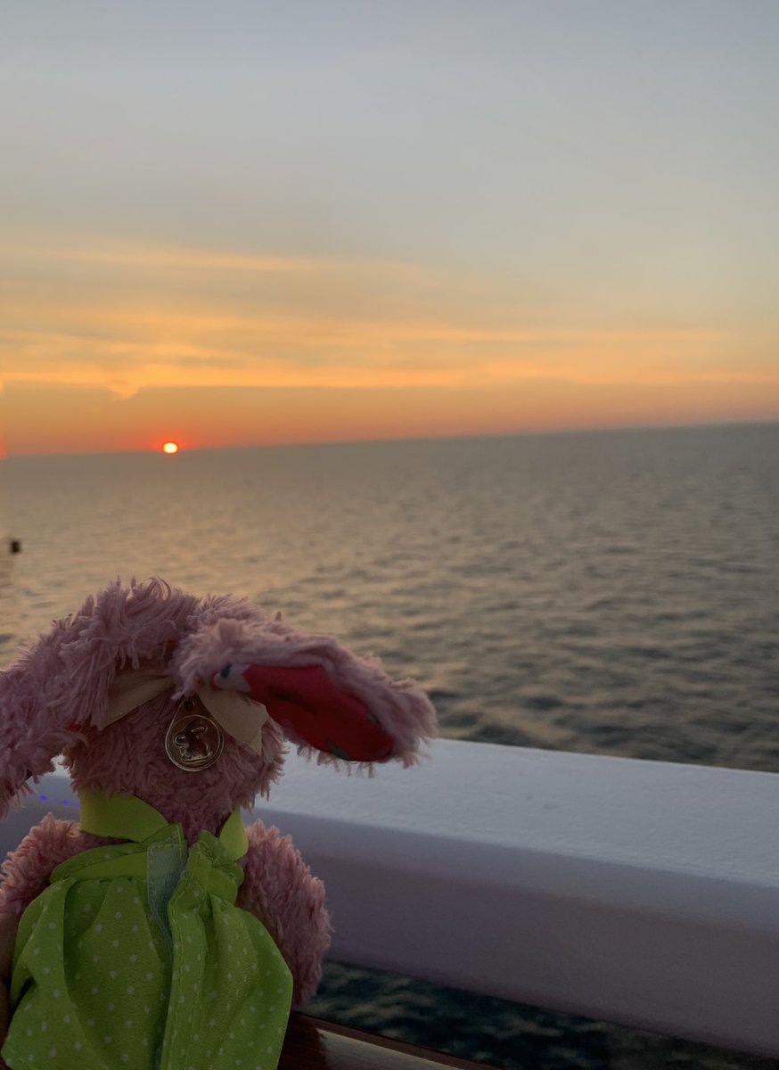 crazy_hiya's tweet photo. #anthemoftheseas #999royalcaribbeanwinner #seacation #cruising #cruise #ukcruise #views #seaviews #sunset @MyRoyalUK https://t.co/to7JU3DpFJ