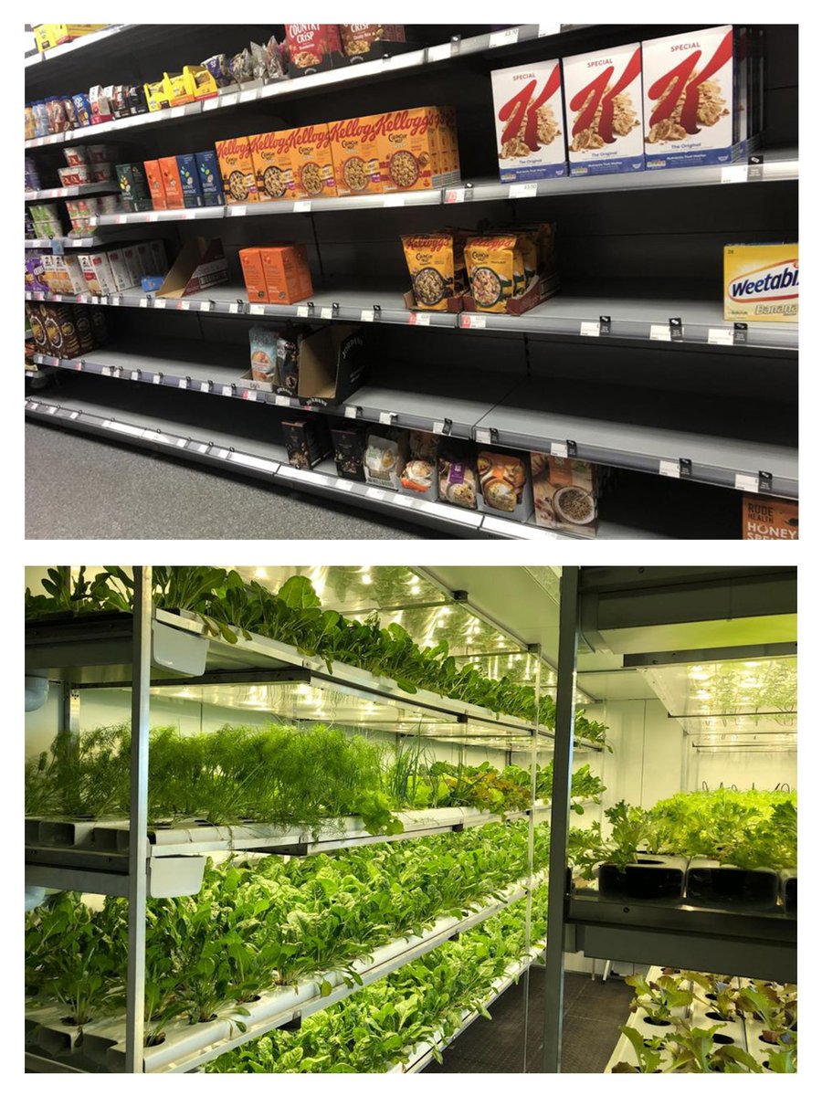 gro_hy's tweet photo. Empty shelves, poor quality veg. Whatever the cause, we're working towards a future where food security starts at home. Pledge at https://t.co/RwiwSHkyJC and commit to a fresher future. #hygro #grow #plants #hydroponics #growathome #crowdfunderuk #startup #houseplants #food https://t.co/JX5hql7rdc