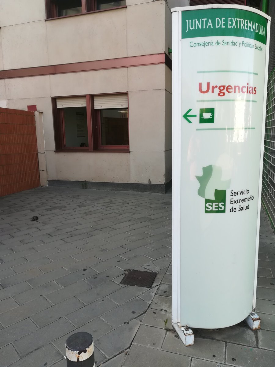 Aless_Gragera's tweet photo. Una rata puede estar paseándose por el servicio de urgencias? Pues si, aqui tenéis la prueba. Me parecece que sanidad debería tomar nota de todo esto porque hoy es una rata y mañana? https://t.co/IQ6o5Z2QQo