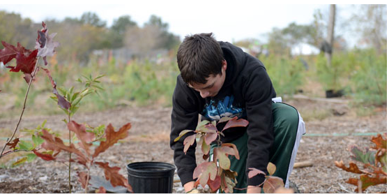 “GrandTrees is our answer to the cry from our young people: that previous generations have not looked after our planet well, and that their generation is in huge trouble from our neglect and greed. Let's get planting.”  

— Michael de Pencier, GrandTrees co-founder