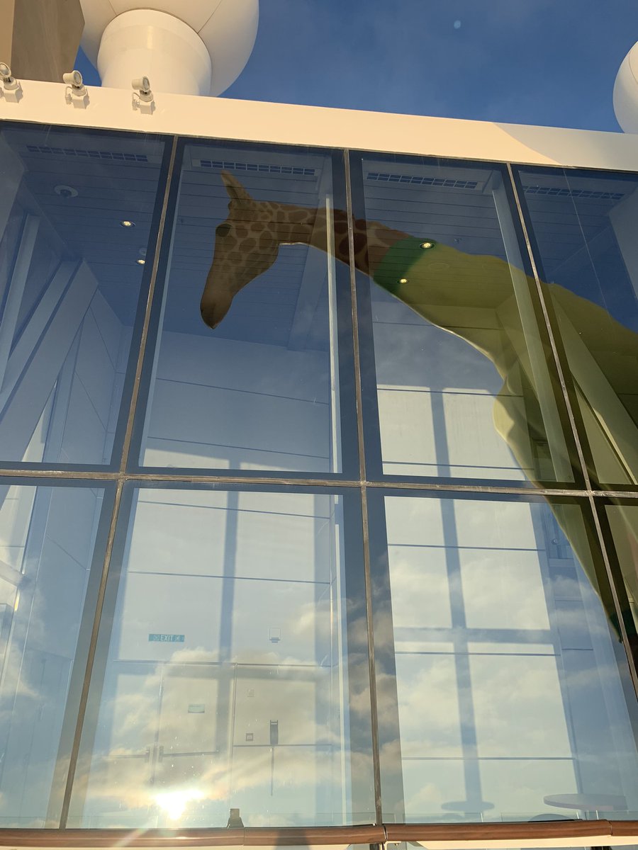 crazy_hiya's tweet photo. Hello #Gigi #anthemoftheseas #999royalcaribbeanwinner #seacation #cruising #cruise #ukcruise @MyRoyalUK #giraffe #giraffeonaship 🦒 https://t.co/yF0HRn6oOM