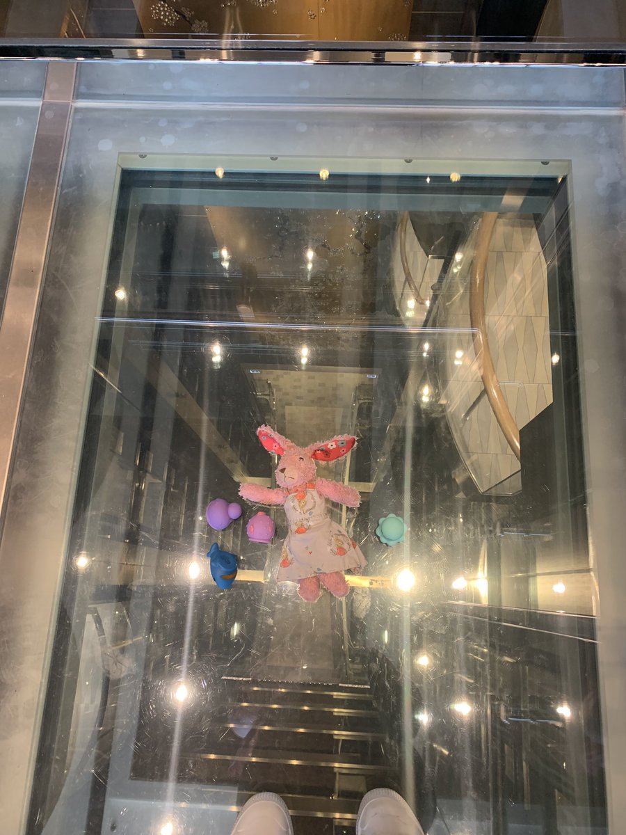crazy_hiya's tweet photo. Don’t look down! Hold on tight! #dontlookdown #anthemoftheseas #999royalcaribbeanwinner #seacation #cruising #cruise #ukcruise #poseidonadventure #holdon @MyRoyalUK https://t.co/S9PrQTK309