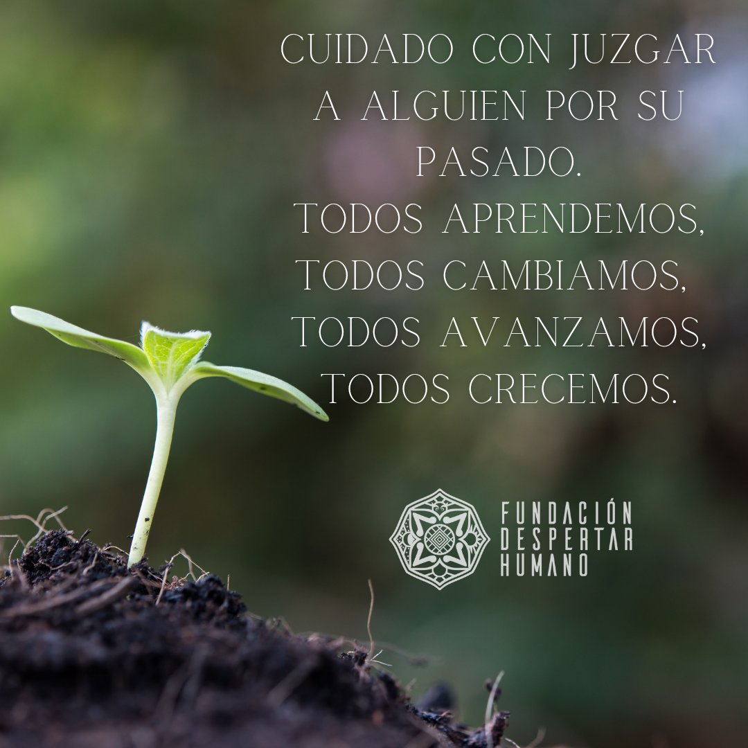 DespertadHumano's tweet photo. 🌱
#Mexico #FraseDelDia https://t.co/GPTuowqR6l