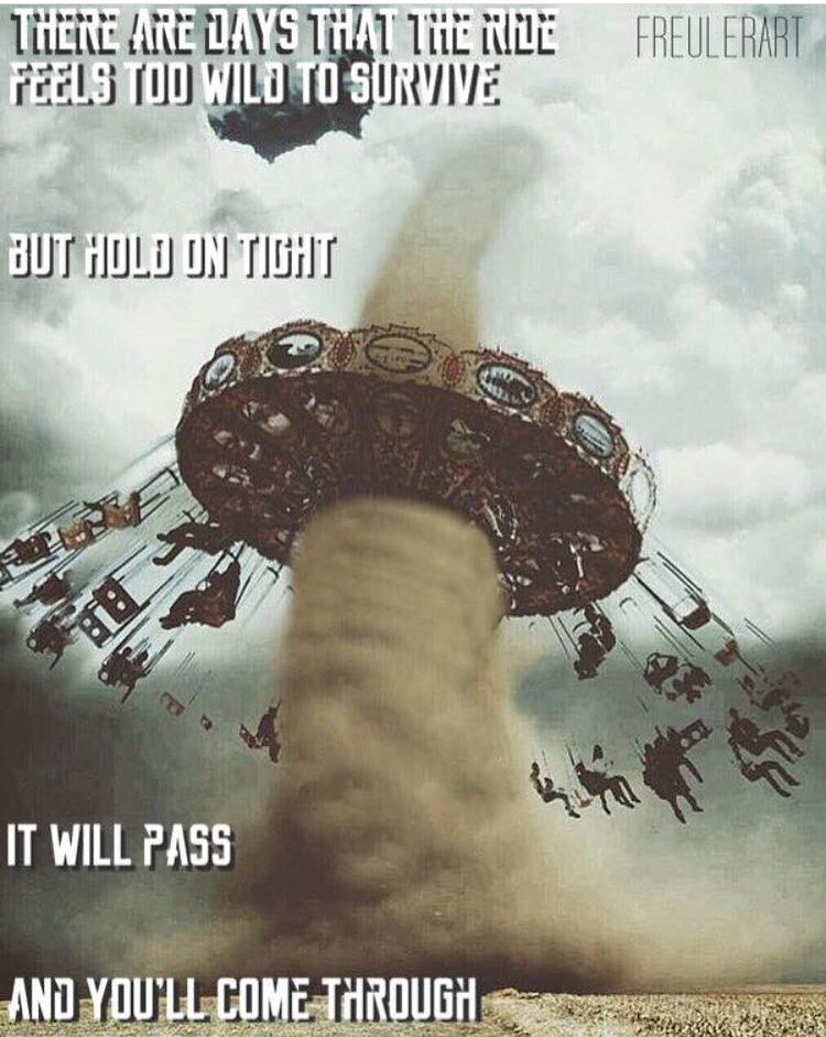 WILD RIDE DAYS can make  us forget that we know how2make it through&amp;that they pass&amp;calm returns. So,naturally,we panic,feel afraid.If Ur having a tough day I want2remind u that ur going2b fine. How do I know that?-ive been there. The storm WILL pass&amp;ull b stronger than before ❤️