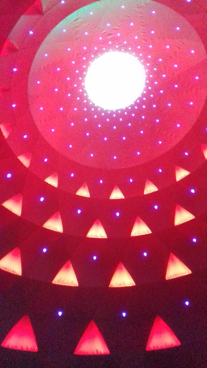 Annie Bannister tweet media