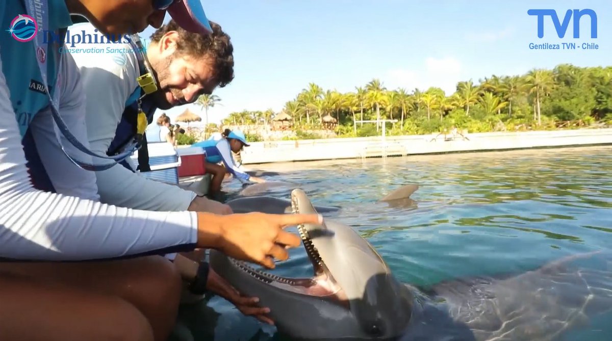 Zoos and Aquariums American Humane American Humane