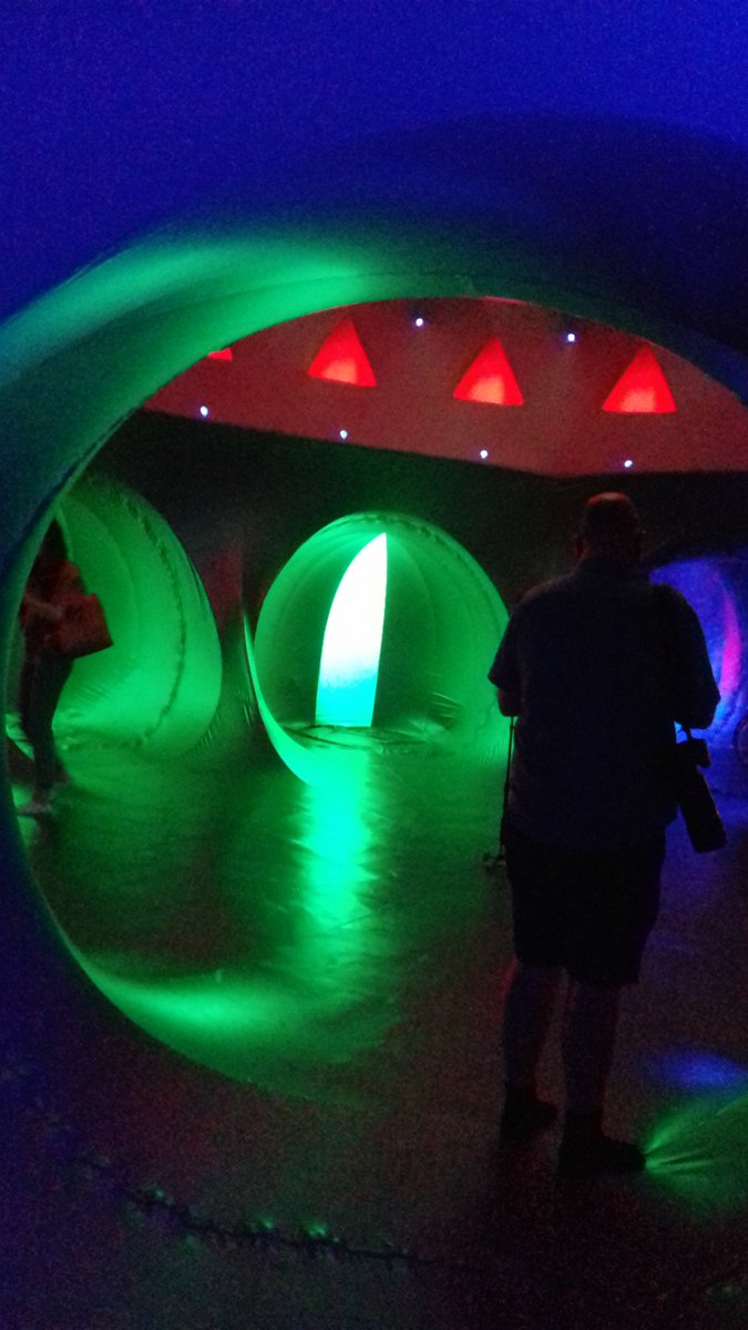 Annie Bannister tweet media