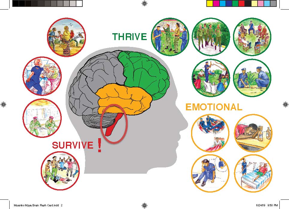 angiyo58's tweet image. 1/ #disruptersunite with #BrainBasics from @

Our brain continues to grow and change as we grow &amp;amp; it can and does heal!!

The brain is plastic &amp;amp; can heal at any time in life.  

It heals emotionally through safe, stable relationships. 

CT #TIEnetwork2021