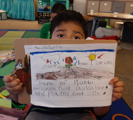 MillerEduLeader's tweet photo. First graders enjoyed writing about what they know about plants! @UCPSNC @AGHoulihan @Renee_McKinnon1 @MarshvilleES_NC @WingateES_NC @SusanRodgersS4 #UCPSSummerLearning https://t.co/iNMBuSOGbb