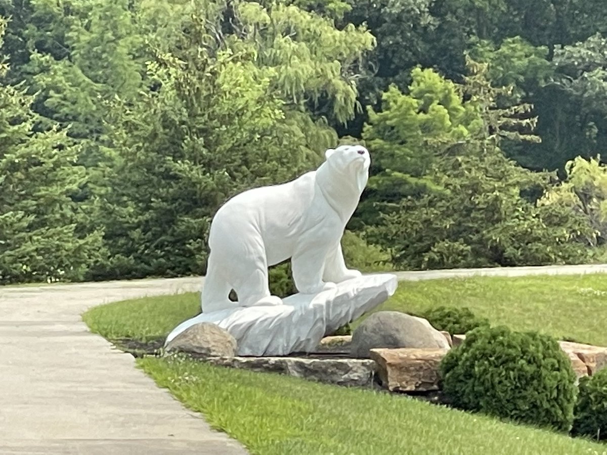 Michael Donahue tweet media