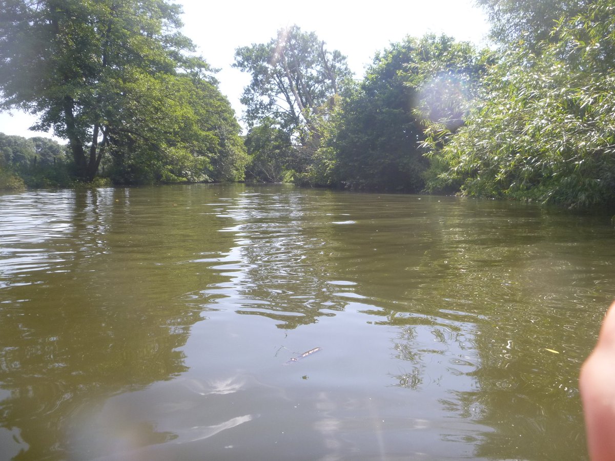 A dip in the river after a hot day in the office