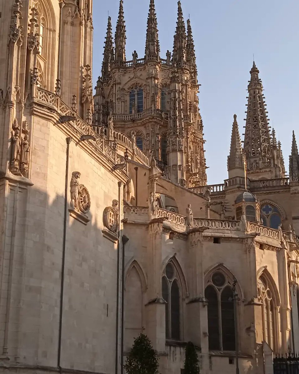 BUBILLO79's tweet photo. 800 años no son nada comparado con los que te quedan. Feliz VIII Centenario Catedral de Burgos. Orgullo burgalés https://t.co/2bpHizdTCv