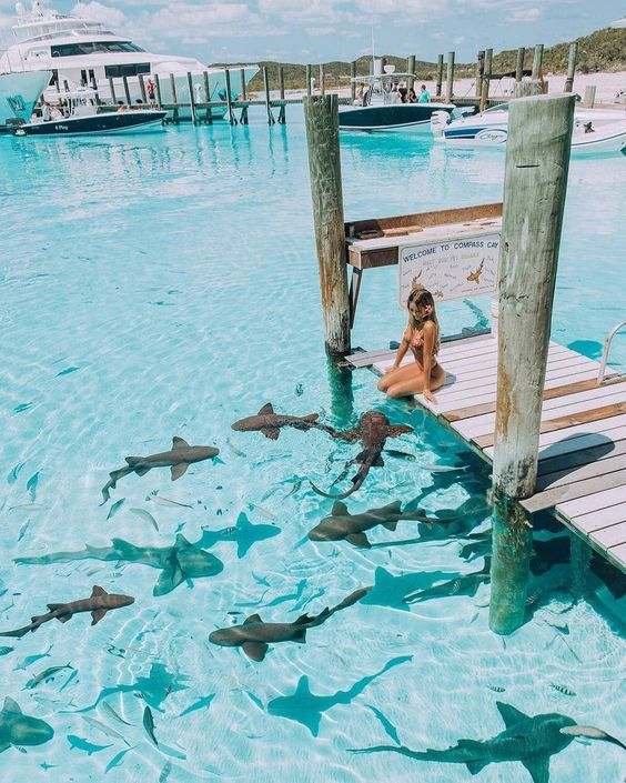 graybeech_'s tweet photo. 📍bahamas last day https://t.co/GlYMQYBZwh