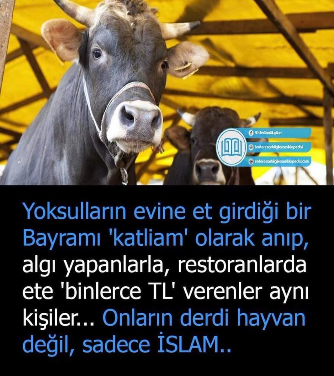 #KurbanCinayettir