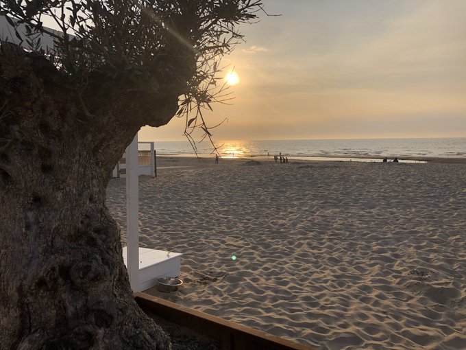 Cocktail time at Beach Bar Belgium @Mariskaxxxxxxx xx https://t.co/uyhNeGf8lb<a class="tags" href="/tag/mariskaxxxxxxx">@mariskaxxxxxxx</a><a href="/tag/cumshot"class="tags"><span>#cumshot</span></a><a href="/tag/fingering"class="tags"><span>#fingering</span></a><a href="/tag/fucking"class="tags"><span>#fucking</span></a><a href="/tag/wanking"class="tags"><span>#wanking</span></a>