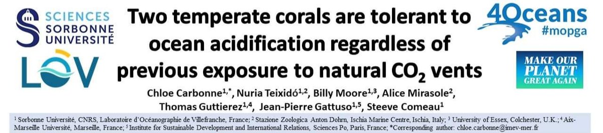 ePoster #ICRS2021 : Our results on the tolerance to ocean acidification of two temperate corals regardless of previous exposure to natural CO2 vents are presented in the ePoster presentation n°ICRS-0957 Theme 5. Feel free to watch if interested, thank you! 😊 <a href="/4Oceansmopga/">4Oceansmopga</a>
