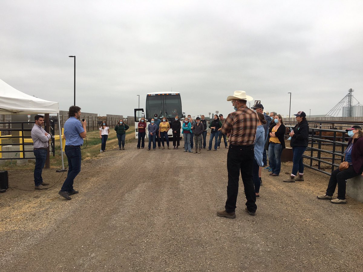 Lana Haight (@lanahaight) on Twitter photo The <a href="/LFCE_usask/">Livestock & Forage Centre of Excellence</a> field day presented by <a href="/Agribition/">Canadian Western Agribition</a> has moved to the field. We are starting at the feedlot with <a href="/RibeiroLabUsask/">Gabriel Ribeiro</a> and <a href="/DiegoMoyaSask/">Diego</a> The <a href="/LFCE_usask/">Livestock & Forage Centre of Excellence</a> field day presented by <a href="/Agribition/">Canadian Western Agribition</a> has moved to the field. We are starting at the feedlot with <a href="/RibeiroLabUsask/">Gabriel Ribeiro</a> and <a href="/DiegoMoyaSask/">Diego</a>
