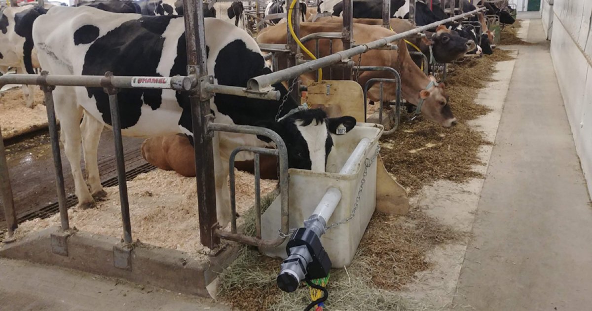 polymtl's tweet photo. Le labo 2️⃣5️⃣0️⃣0️⃣ | Tout comme Jeff Bezos et Richard Branson, le «nez optique» du labo d’Yves-Alain Peter @yapeter s’envolera dans la stratosphère cet été. D’ici là, c’est sur le plancher des vaches que vous le trouverez. Littéralement. À lire: https://t.co/HkblsiNMEg https://t.co/eHpuHNP8MJ