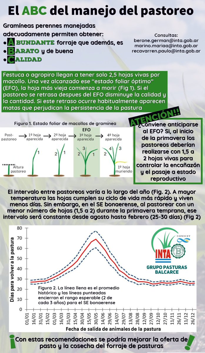 Grupo Pasturas Balcarce tweet media