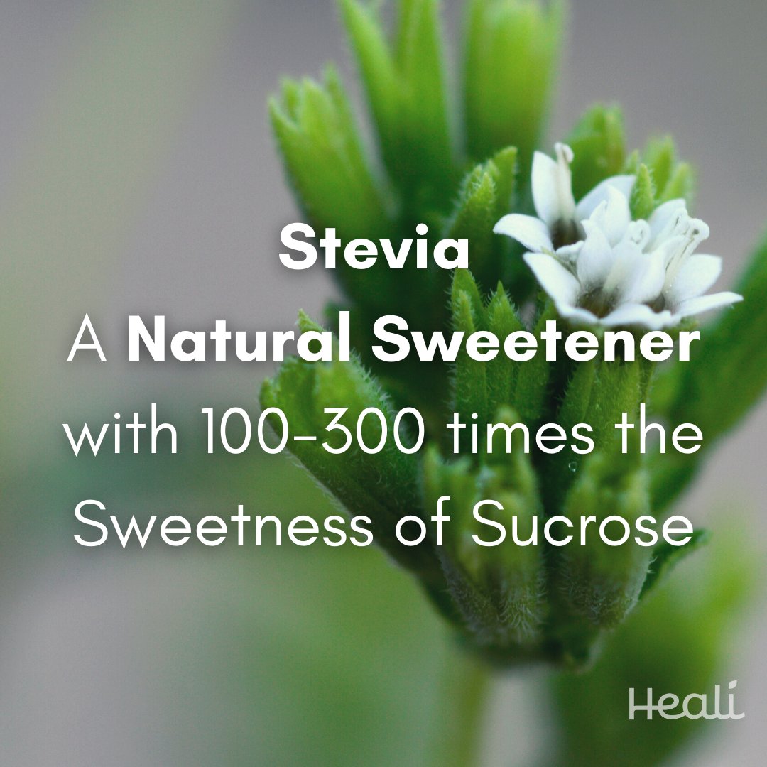 Stevia has 100-300 times the sweetness of sucrose, and has many nutritive compounds. Besides its use as a sugar substitute, many studies have shown promising health benefits of stevia against diabetes, obesity, and other diseases.