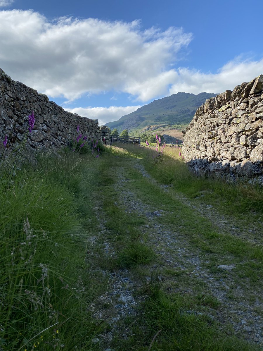 RalphHorsley's tweet image. Photos from the Duddon Valley and Eskdale.

I had an eye out for Dragons. I might have found one or two, I’ll see about doing some Wildborn paintings in which to share them 😉#referencephoto