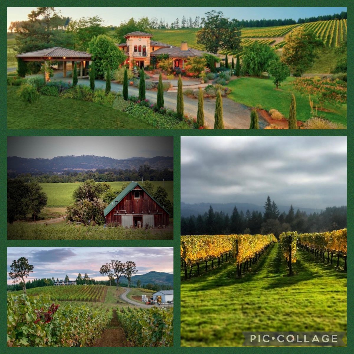 When it comes to beautiful wineries and vineyards, #OregonWine does not disappoint! Fill your #wineglass with some amazing wine because it is always #winetime when you have a bottle from Oregon! #winenot enjoy some #ORWine and make #winetime just that much better!!
