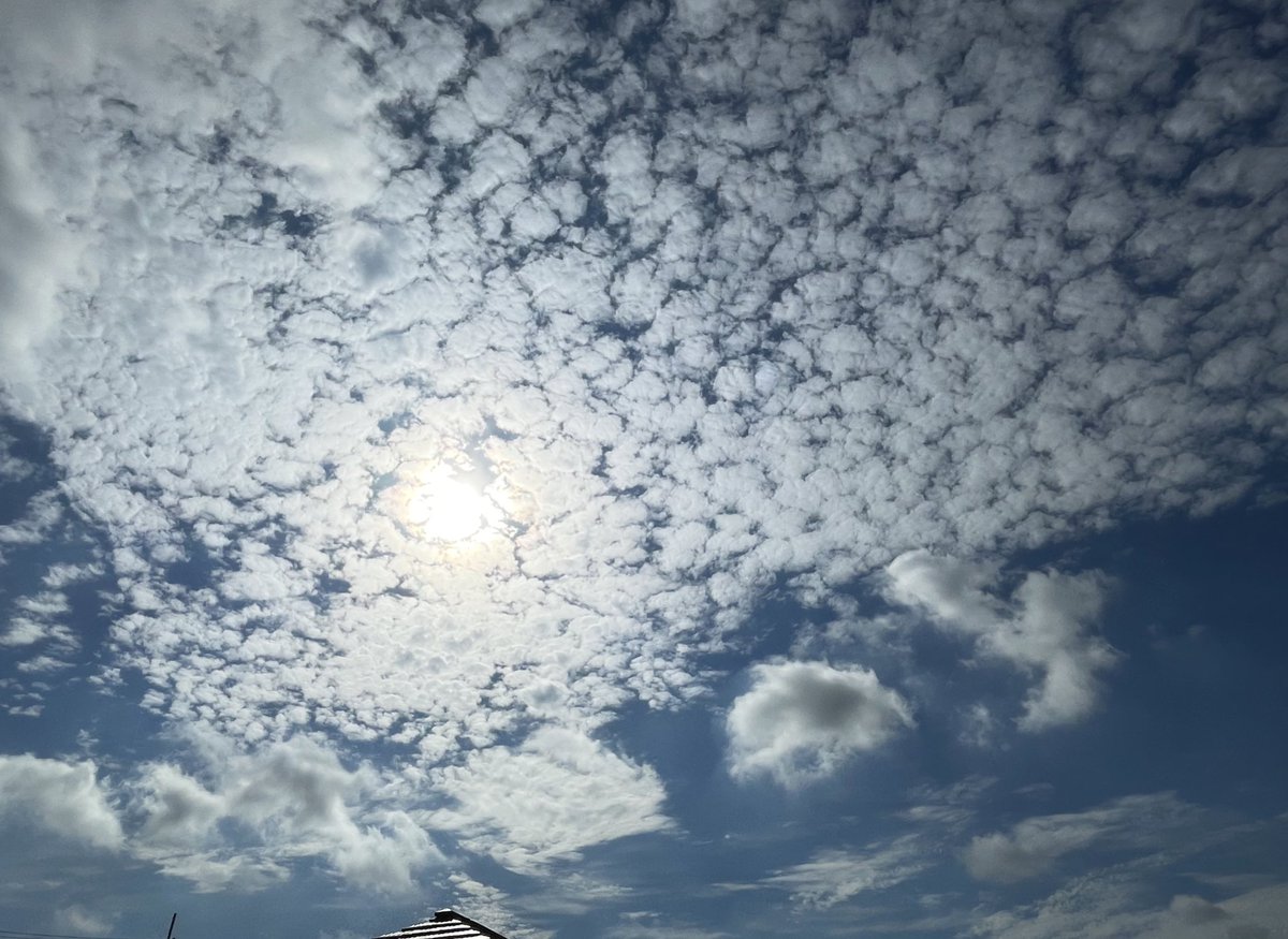 slowslowfood's tweet photo. 今日の天空劇場
今日も暑くなりそう💦
「因果は巡る糸車、巡り巡って風車」
♫めぐるめぐる めぐる因果は糸車
地震雷火事怨霊
矢でも鉄砲でも持ってこいこい
自衛してご安全に🙏
#さっきの空
#イマソラ
#彩雲
#GOTO雲
#同じ空を見ている
#StaySafeStayHealthyStayOpen😷
#ThinkScientifically https://t.co/g0qHbV2STj