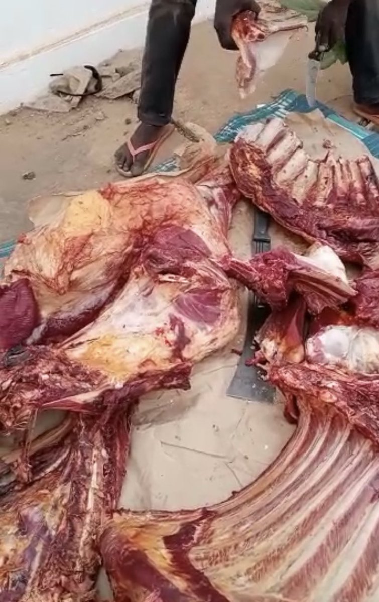 RANAA_Niger's tweet photo. 1 | 2  Hier, jour béni d’Arafah, la Présidente des femmes du RANAA, Hadjia Aïssa Yayé Maïga a procédé à la distribution de viande de bœuf aux membres de l’Organisation des Femmes du RANAA (OF RANAA). Ce don leur a été fait par le Président du RANAA, Dr. Hamidou Mamadou Abdou. https://t.co/Taf7G5Qoex