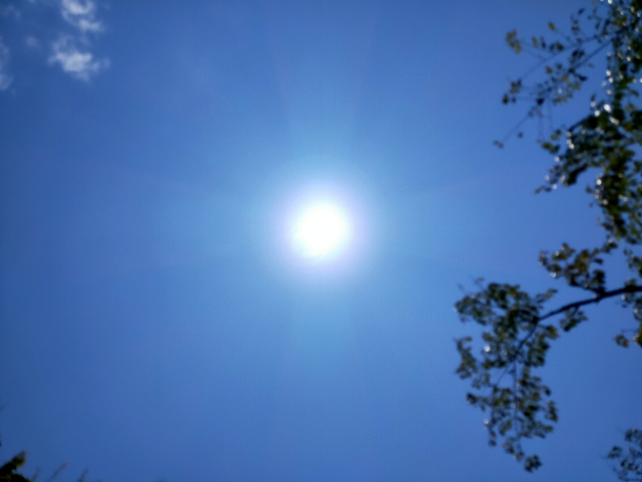 武田p 音霊と言霊で光を照らす奉納演奏家 Flowerhamony祈りの旅 昨日は京都 本日は滋賀です 太陽と大地からのエネルギーがとても心地よく光のエネルギーを体中に感じます スピリチュアル T Co 1jbkzzsuok Twitter