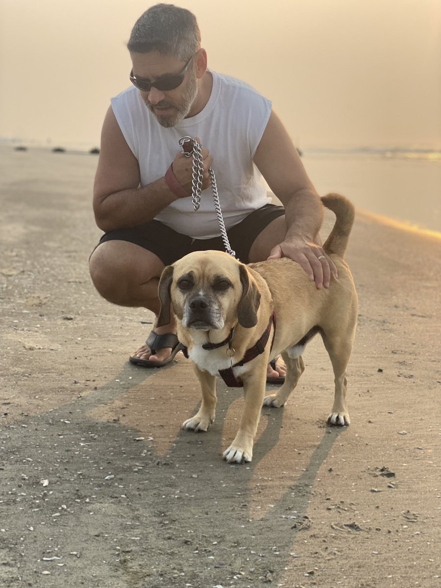 Rascal the Puggle tweet media